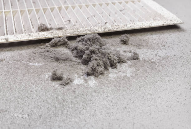 Best Affordable Air Duct Cleaning  in Lisle, IL