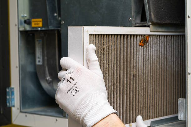 Best Air Duct Mold Removal  in Lisle, IL