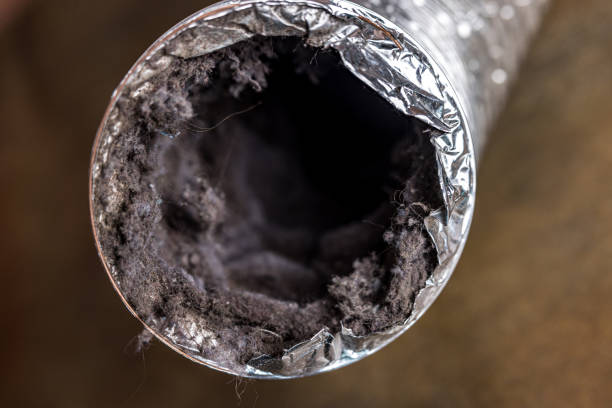 Best Professional Duct Cleaning Services  in Lisle, IL