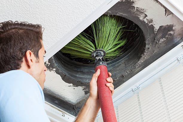 Best Air Duct Cleaning Near Me  in Lisle, IL